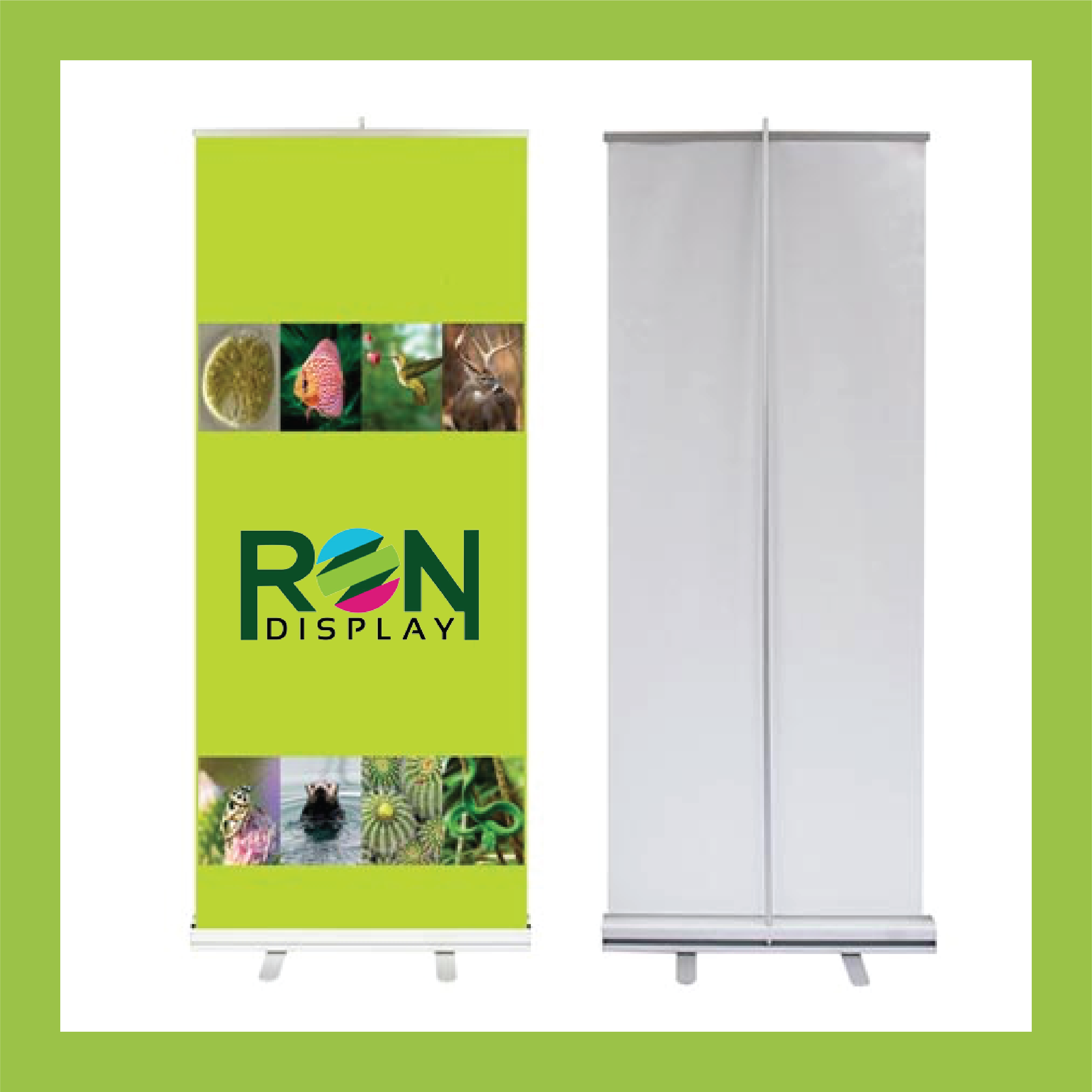 Roll Up Banner